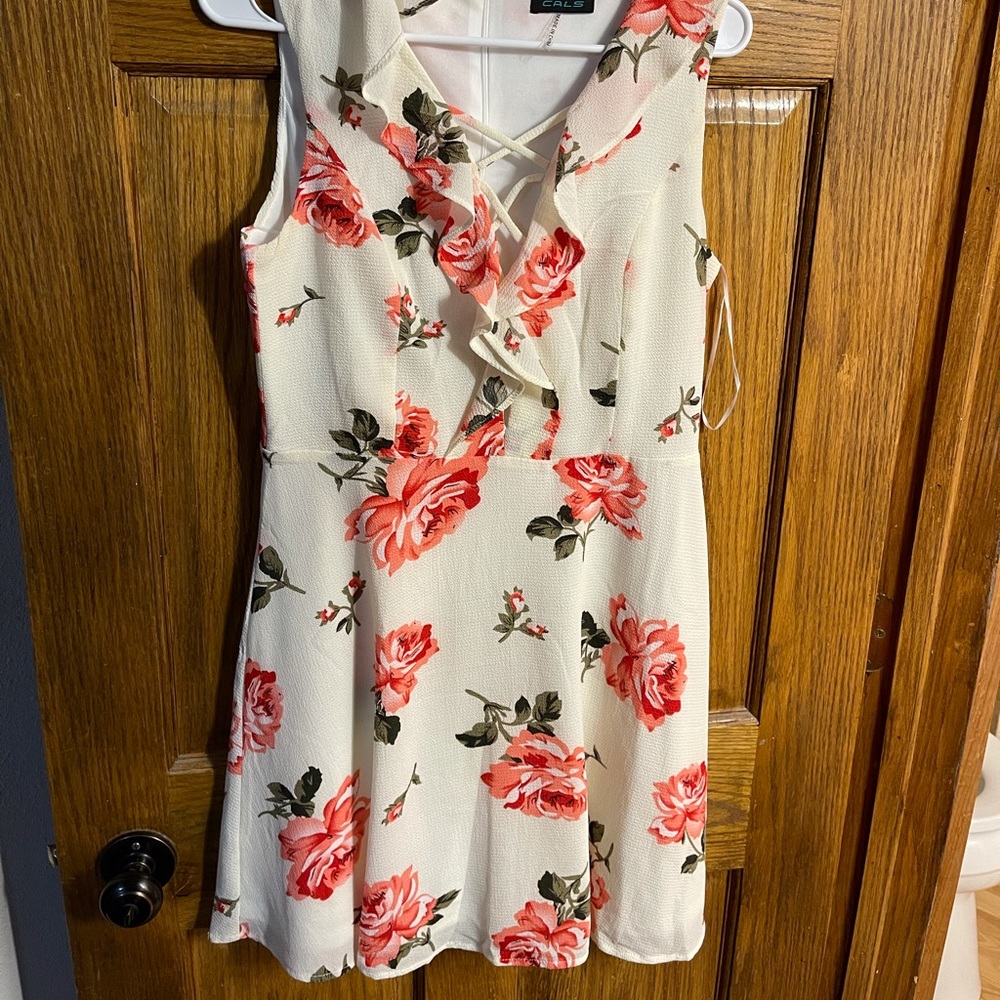 Never Worn Floral Dress
